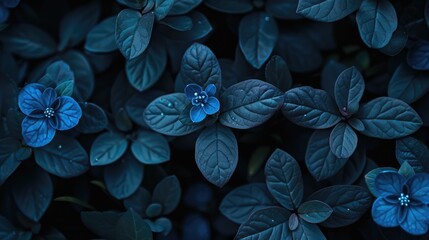 Wall Mural - Close up photo of small blue flowers and green leaves with a dark tone