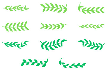 Wall Mural - Flower vine icon set. Botanical decoration vector