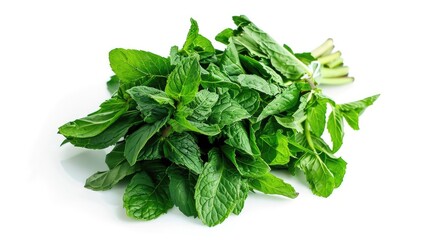 Sticker - Fresh green mint bunch isolated on a white background