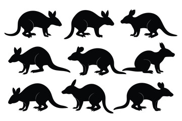 Wall Mural - Set of Bandicoot animal black silhouette vector on white background