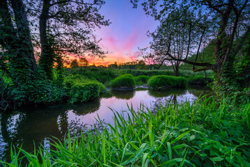 Wall Mural - spring sunset over the wild river banks