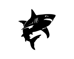 Wall Mural - Shark black outline vector illustration. Fish art.