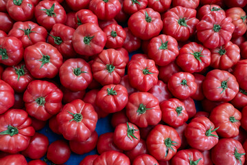 Wall Mural - Clean eating concept. Bunch of ripe juicy freshly picked organic tomatoes in pile at local produce farmers market. Healthy diet for spring summer detox. Vegan raw food. Close up, background.