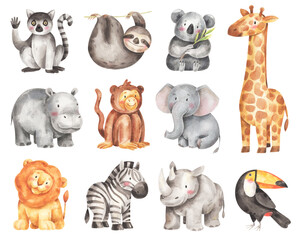 cute rainforest animals set. watercolor children illustrations isolated on white background. hand-dr