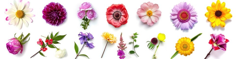 Wall Mural - Beautiful Flowers. Collection of Botanical Blossoms for Anniversary Banner Design