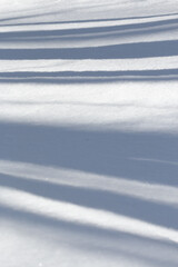 Wall Mural - tree shadow lines on fresh white winter landscape snow background