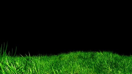 Wall Mural - grass wind noise loop on alpha channel. element footage place on footage or background and easier to
