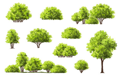 Wall Mural - vector watercolor of tree side view isolated on white background for landscape and architecture draw