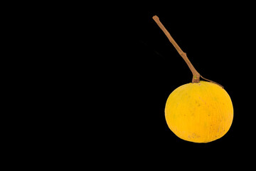 Wall Mural - santol isolated on black backgeround.