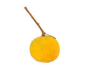 Wall Mural - santol isolated on transparent with png.
