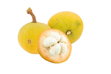 Wall Mural - santol isolated on transparent with png.
