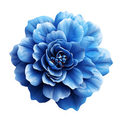 Sticker - Blue flower isolated on transparent background, png, cut out.