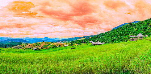 Canvas Print - Panoramic view of terraced rice fields at Ban Pa Bong Piang Village