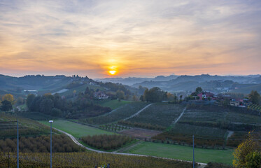 Poster - Typical vineyard near Canale, Barolo wine region, province of Cuneo, region of Piedmont, Italy