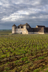 Canvas Print - Typical vineyards near Clos de Vougeot, Cote de Nuits, Burgundy, France