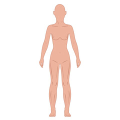 Poster - Full length front view of a lean bald standing naked girl silhouette, isolated on white background. Vector illustration