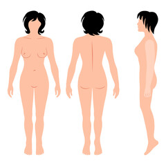 Poster - Full length view of a lean haircut standing naked girl silhouette, isolated on white background. Vector illustration