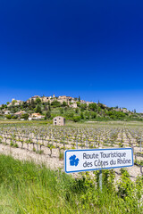 Canvas Print - Typical vineyard with Wine road (Route Touristique des Cotes du Rhone) near Faucon, Cotes du Rhone, France