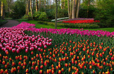 Spring flower park with green grass, trees and blooming flowers