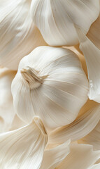 Closeup of garlic texture with veined white surface
