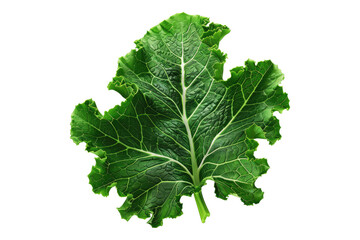 Sticker - Kale leaves isolated on white background