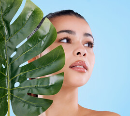 Woman, thinking and leaf with natural beauty for skincare, dermatology or cosmetology on a blue studio background. Female person, brunette or young model in wonder or thought for facial treatment