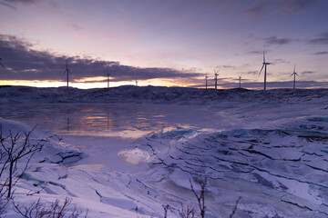 Wall Mural - Scenic view of Swedish Lapland in winter at sunset