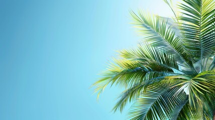 Palm tree fronds against bright blue sky