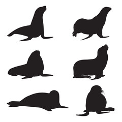 Wall Mural - Seal Silhouette Vector Illustration Art Bundle