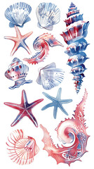 Wall Mural - Collection of various seashells and starfish isolated on white background