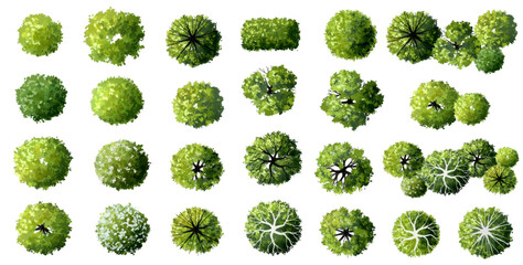 Wall Mural - vertor set of green tree,plants top view for landscape plan,schematic layout,eco environment concept