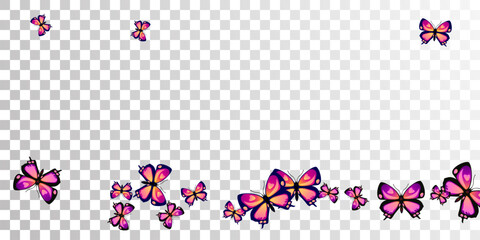 Wall Mural - Exotic purple butterflies isolated vector illustration. Spring little insects.