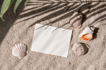 Wall Mural - Empty paper card mockup, sea or ocean shells on summer beach sand background with palm leaves sunlight shadow