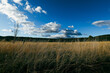 © Austockphoto - Tranquil afternoon in the country with long grass and cloudy sky