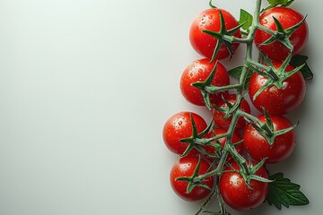 Wall Mural - A bunch of cherry tomatoes on the vine isolated on a white background