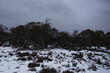 © Austockphoto - Snow covered landscape