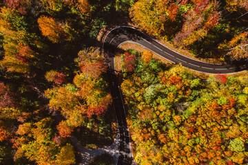 Wall Mural - Autumn Aerial View of Road Through Vibrant Forest, Beautiful Fall Colors Landscape