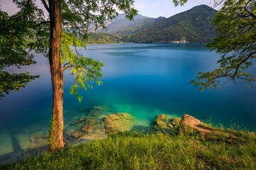 Wall Mural - Scenic View of Mountain Lake, Clear Turquoise Water and Tree Reflections, Lago di Ledro, Italy, Tranquil Nature Background