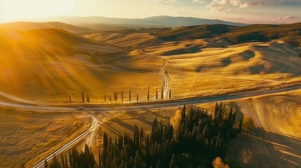 Sticker -   An aerial view of a dirt road, surrounded by trees, amidst a field with mountains in the backdrop during sunset