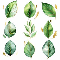 A set of green leaves with gold accents