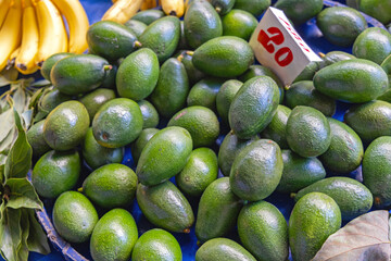 Poster - Big Bunch of Green Avocado at Farmers Market Turkey