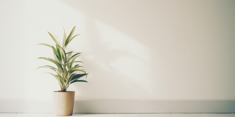 Wall Mural - A small plant is sitting in a white pot on a white floor. The plant is the only thing in the image, and it is the only object that is not white