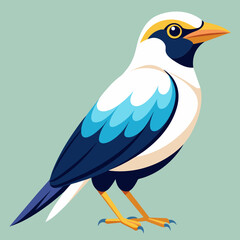 Poster - bali myna vector silhouette illustration