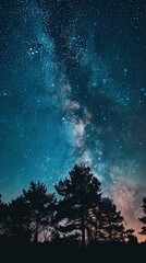 Wall Mural - starry sky.