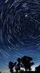 Wall Mural - starry sky.