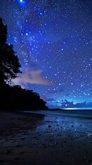 Wall Mural - starry sky.