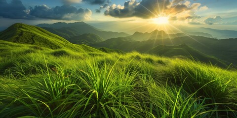 Wall Mural - Photography, grassy mountain with sunlight shining, vibrant green grass and majestic sunrise.