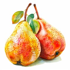 Wall Mural - Ultra realistic watercolor style illustration of pears, high detailed, close up, isolated on white