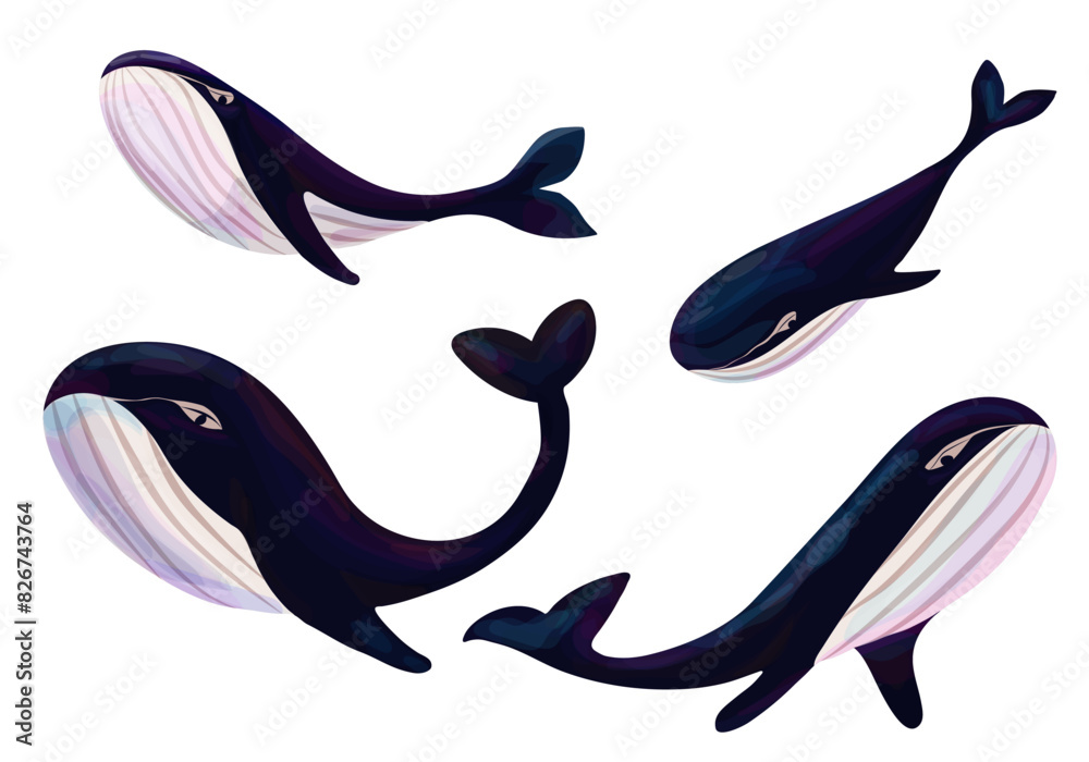 Set of blue whales. Vector art, isolated on white background. Ocean ...