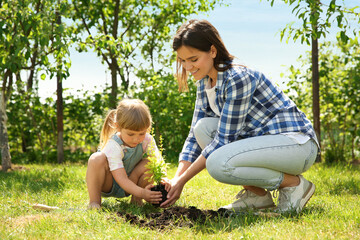 Wall Mural - Mother and her daughter planting tree together in garden